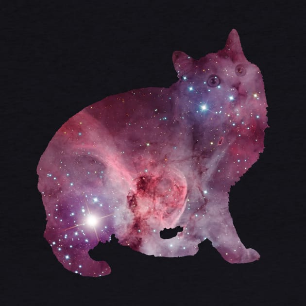 Nebula Kitty by crashin